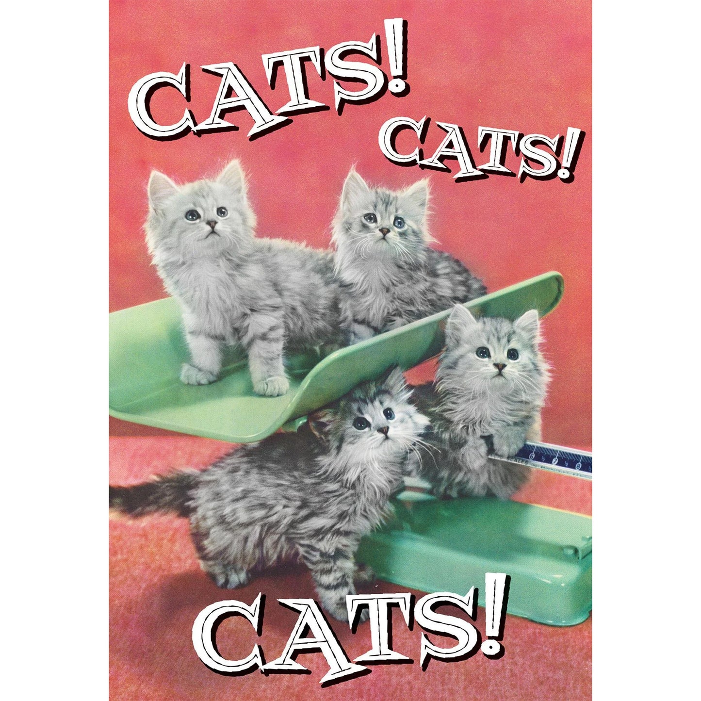Four very cute kittens play on a green weigh scale, and the word Cats in triplicate is printed on this retro greeting card.