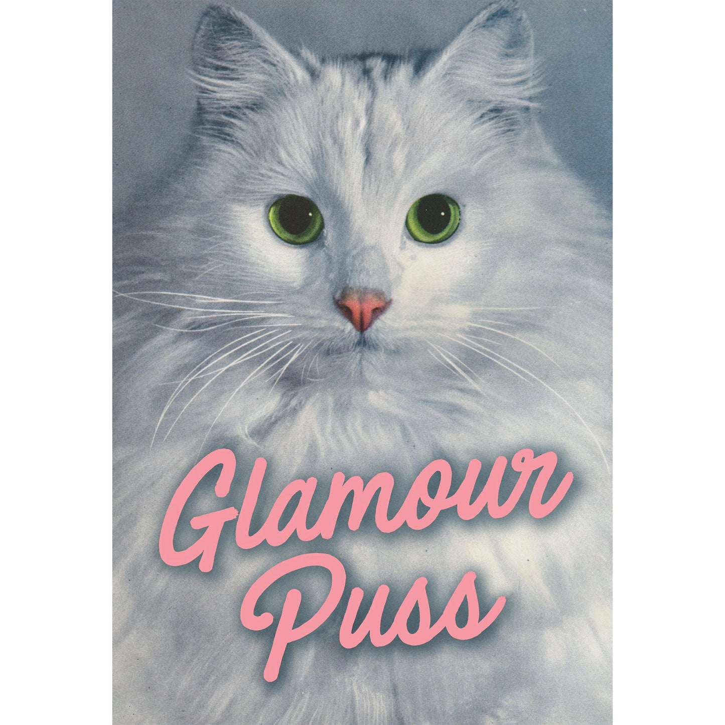 Greeting card with a close-up of a gorgeous white fluffy cat, overlayed with pink text that reads: Glamour Puss.