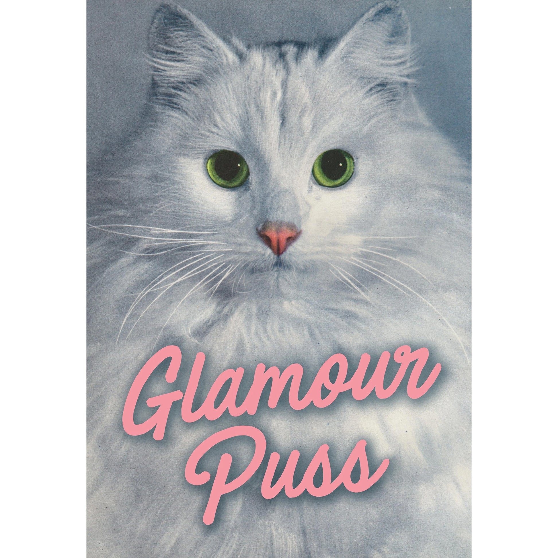 Greeting card with close-up of a white fluffy cat, and pink text that reads: Glamour Puss.